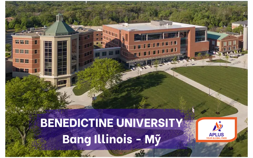 Dai hoc Benedictine, bang Illinois